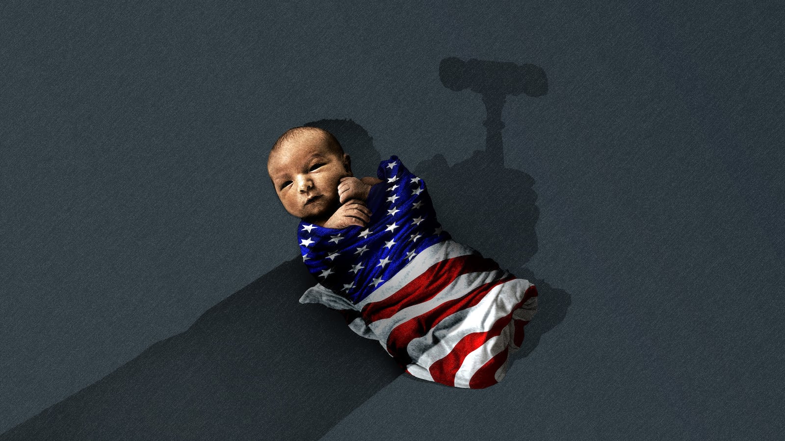 Birthright citizenship and the courts